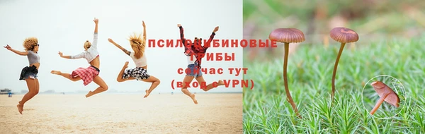 apvp Абаза