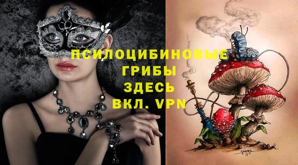 крисы Магас