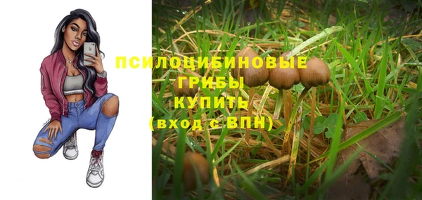 бошки Абдулино
