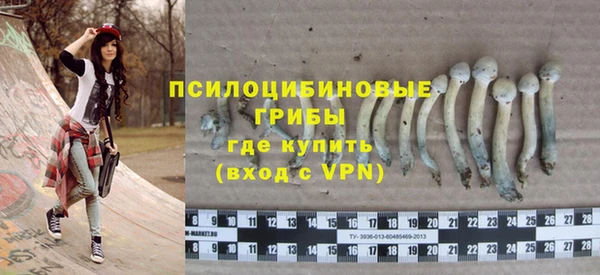 крисы Магас