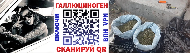 купить  цена  Химки  Псилоцибиновые грибы Magic Shrooms 